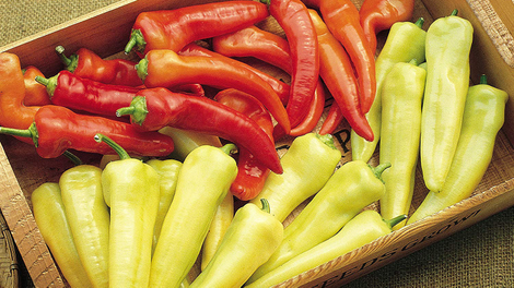 Burpee Sweet Banana Pepper Seeds | $5 | Amazon | 30% Off Indoor Gardening Equipment and Seeds